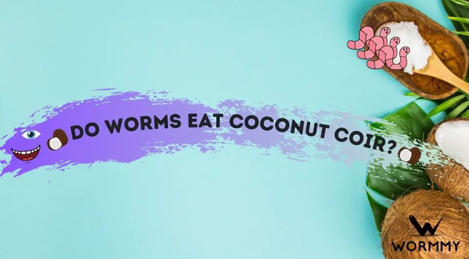 Do Worms Eat Coconut Coir? (What Is Coconut Bedding?)