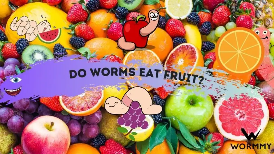 Do Worms Eat Fruit? (Which Fruits to Feed Your Earthworms)