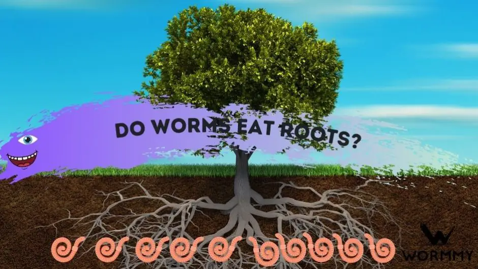 What Kind Of Earthworms Eat Plants The Earth Images
