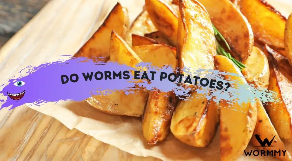 Do Worms Eat Potatoes? (and Will Earthworms Eat Potato Peels?)