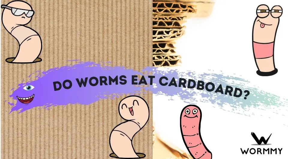 Do Worms Eat Cardboard? (Why do Worms Like Brown Cardboard?)