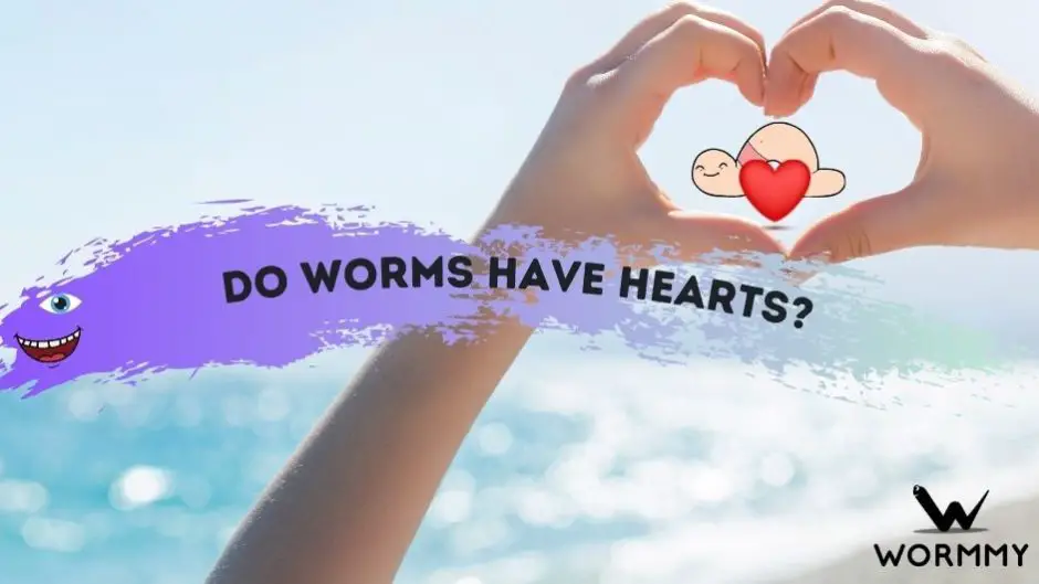 do worms have hearts blog banner