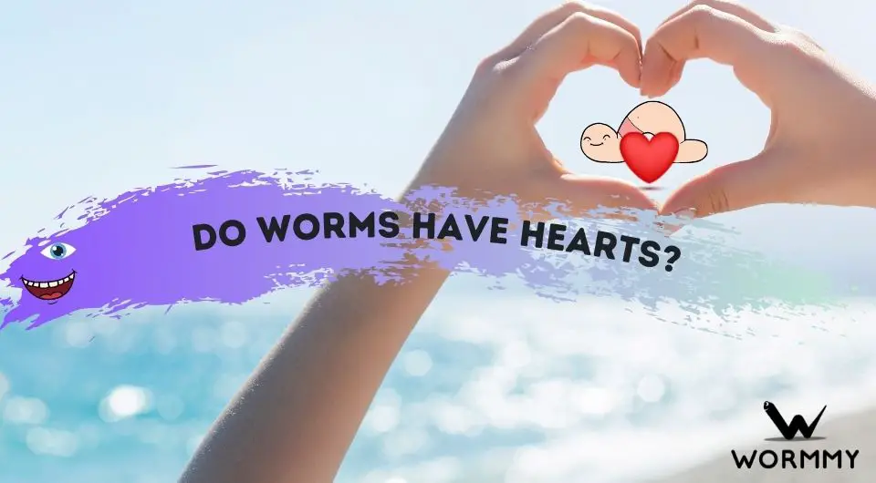 how-many-hearts-do-worms-have-do-worms-have-hearts-at-all