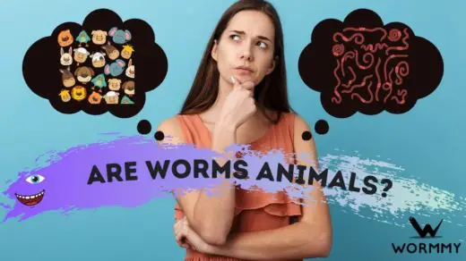 are worms animals blog banner