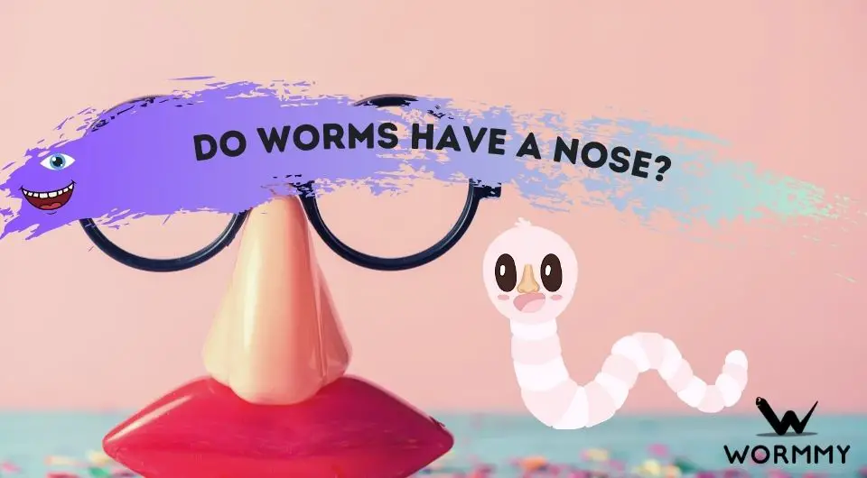 Do Worms Have a Nose? And How Do They Breathe?