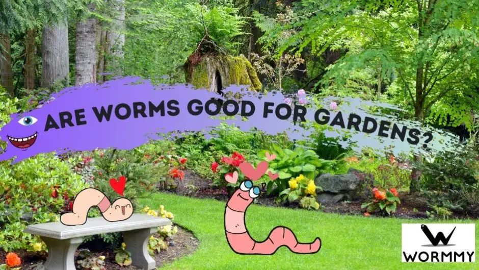 Are Worms Good for Gardens? (or Are They Bad?)