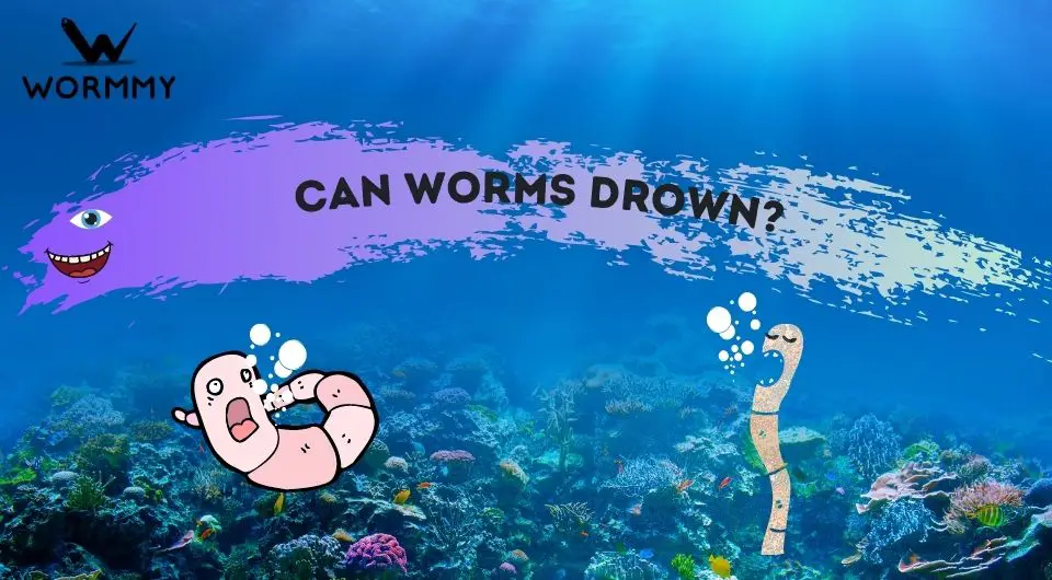 Can Worms Drown? (How Long Can Earthworms Live in Water?)