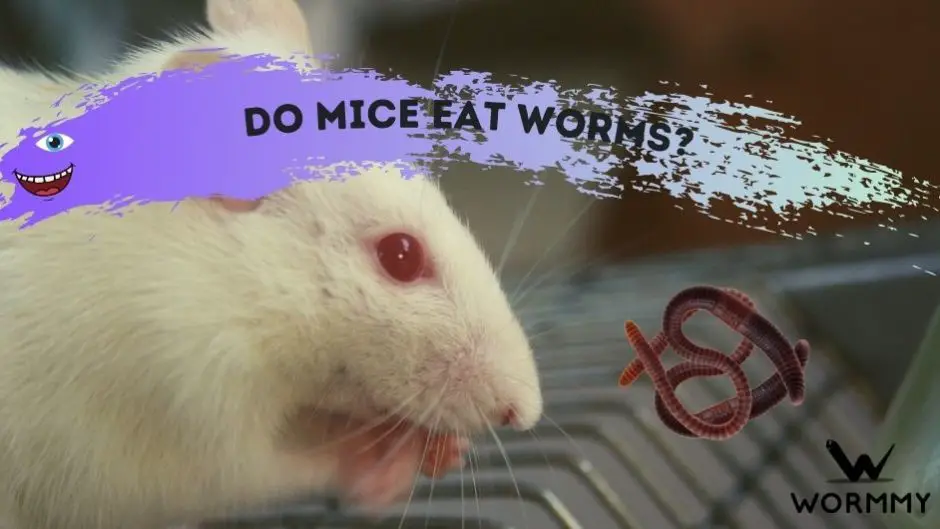 Can Worms Regenerate? (If An Earthworm Is Cut In Half Will It Survive?)