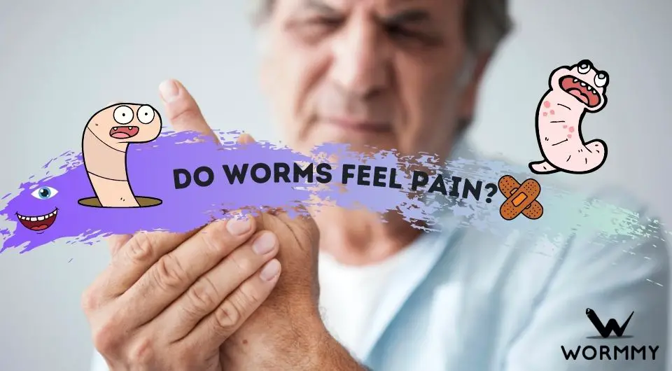 Do Worms Feel Pain? (Can Earthworms Sense Painful Stimuli?)