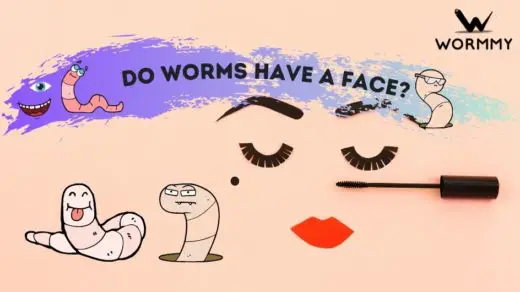 do worms have a face blog banner
