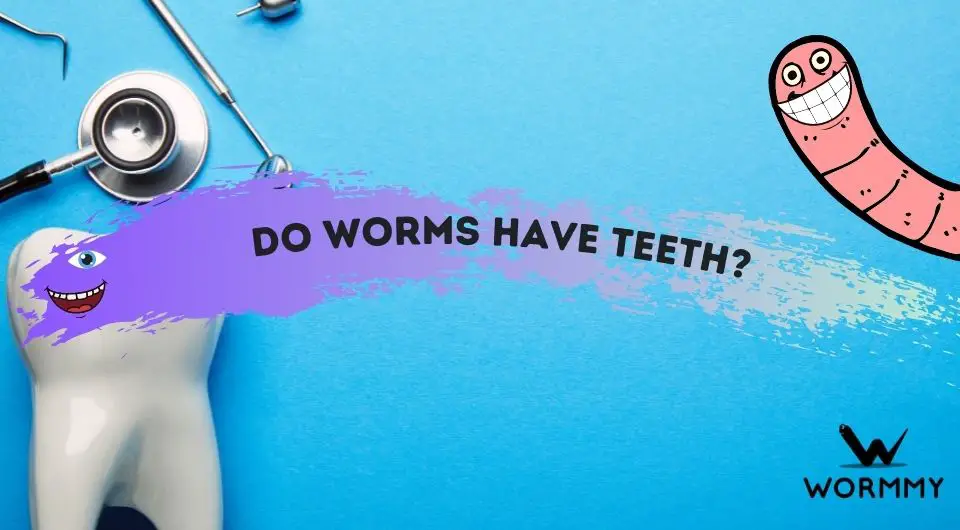 Do Worms Have Teeth? (and Do Earthworms Bite?)