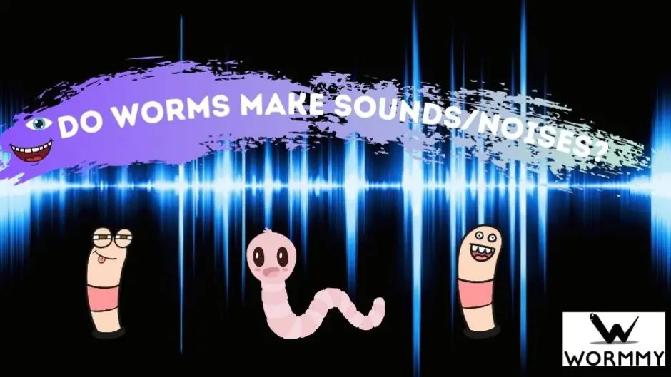 Do Worms Eat Paper? (Cardboard, Newspaper & Towels Explained)