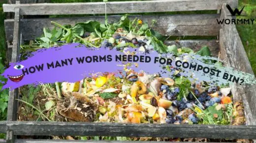 how many worms do you need to start a composting bin blog banner