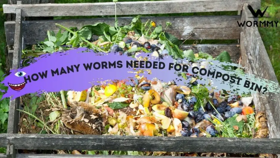 How Many Worms Do You Need to Start a Compost Bin?