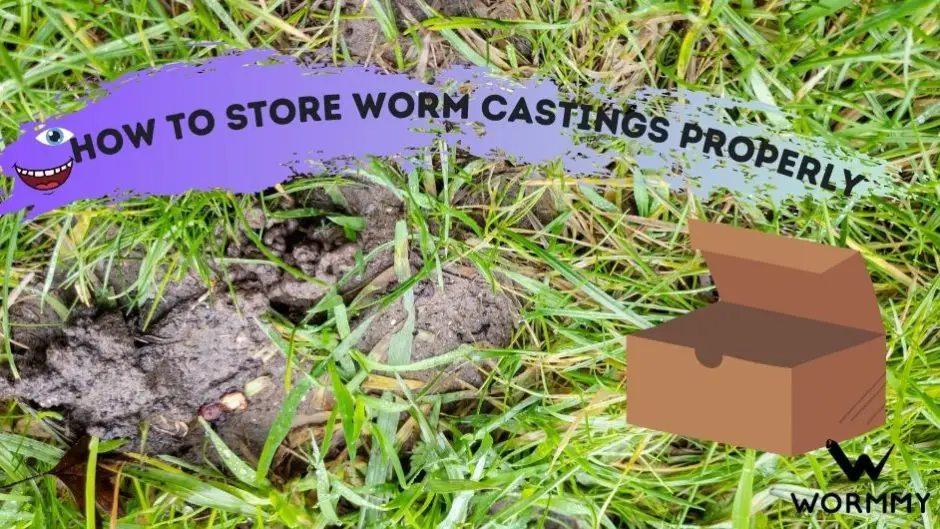how to store worm castings properly blog banner