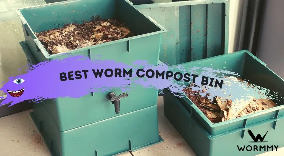 Best Worm Compost Bin Top 10 Bins Reviewed 2022 Update - Best Diy Worm Composting Bin