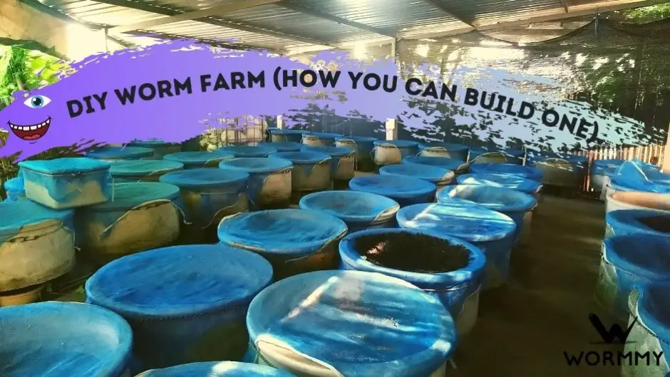DIY Worm Farm - Here's How You Can Build One Yourself blog banner