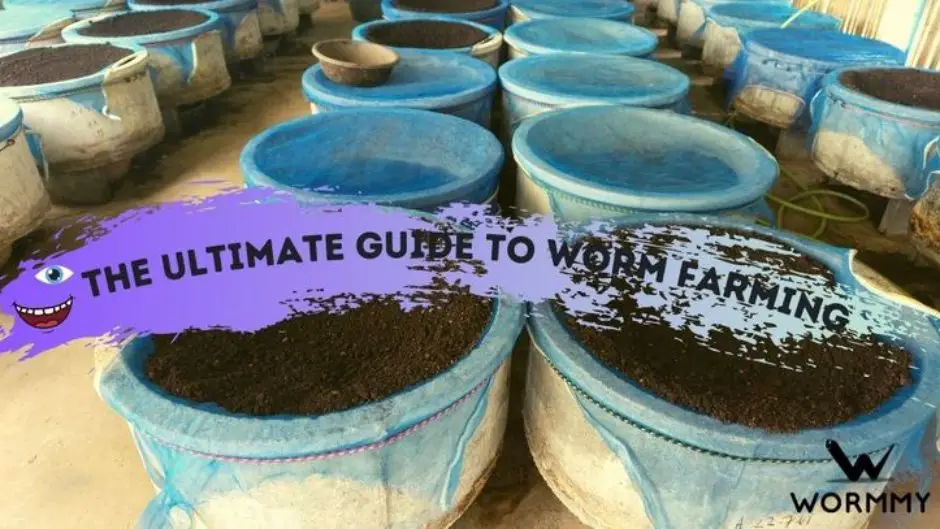 worm farming guide blog banner
