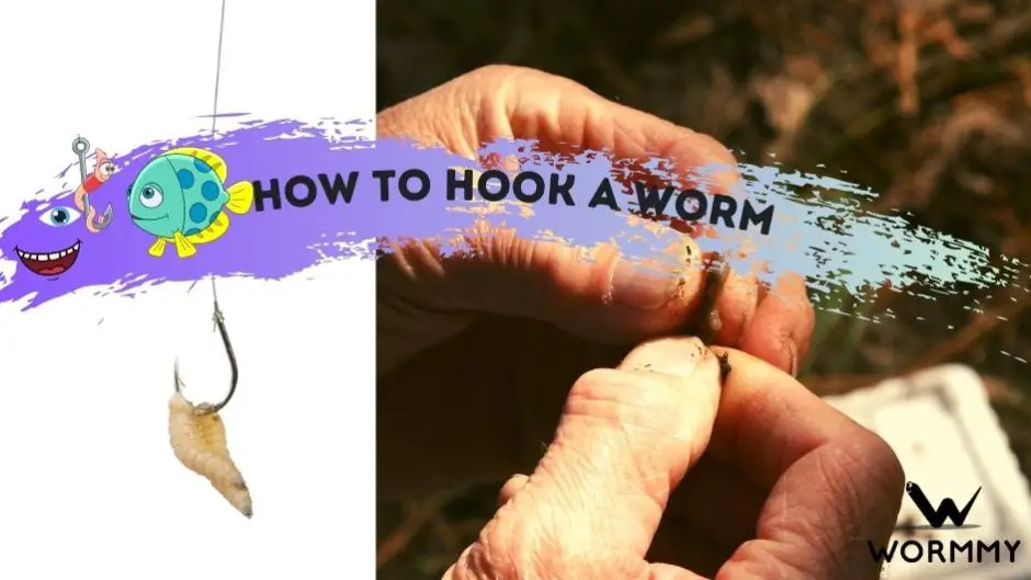 How To Hook A Worm For Fishing blog banner