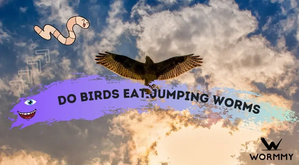 Do Birds Eat Jumping Worms? (Chickens and Other Bird Species)