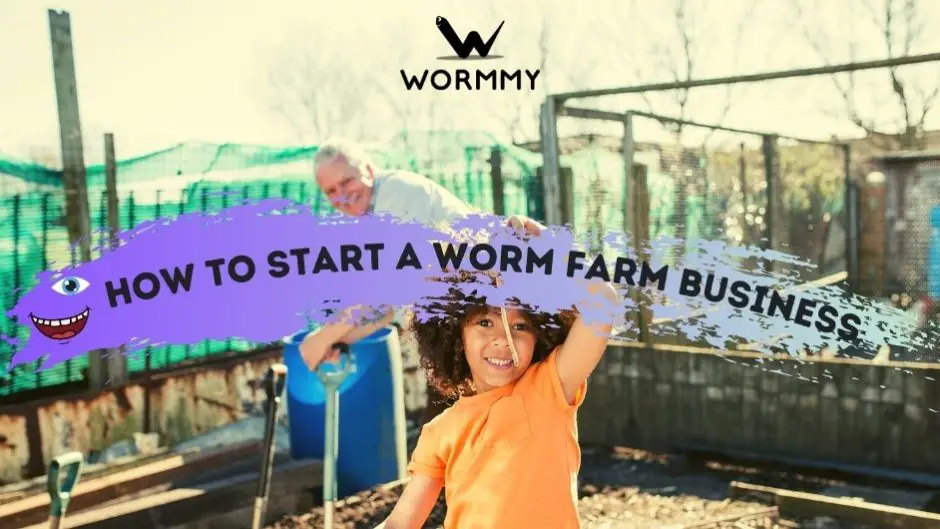 starting-a-worm-farm-modern-teaching-blog