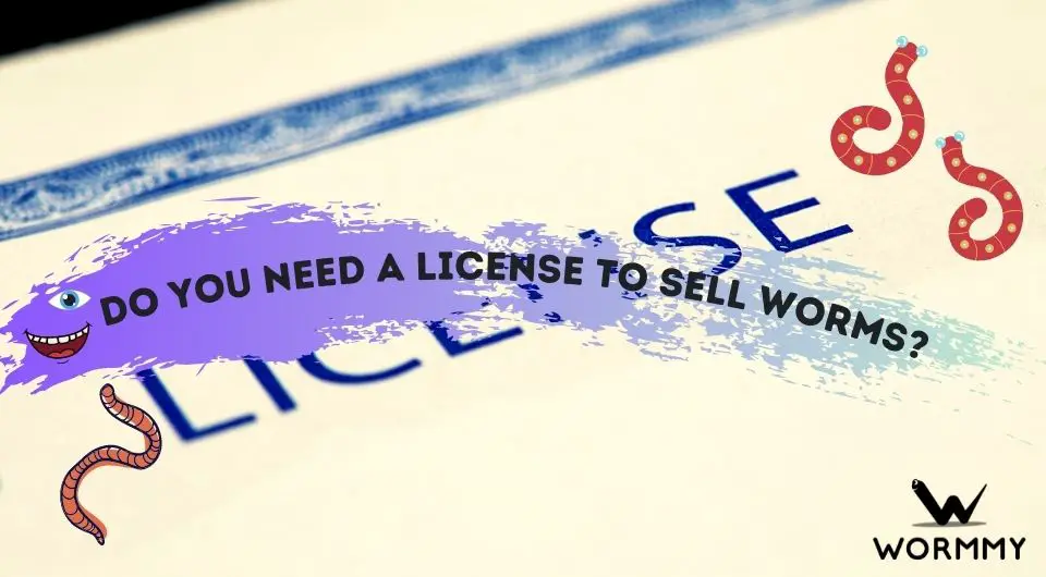 do-you-need-a-license-to-sell-worms-permit-requirements