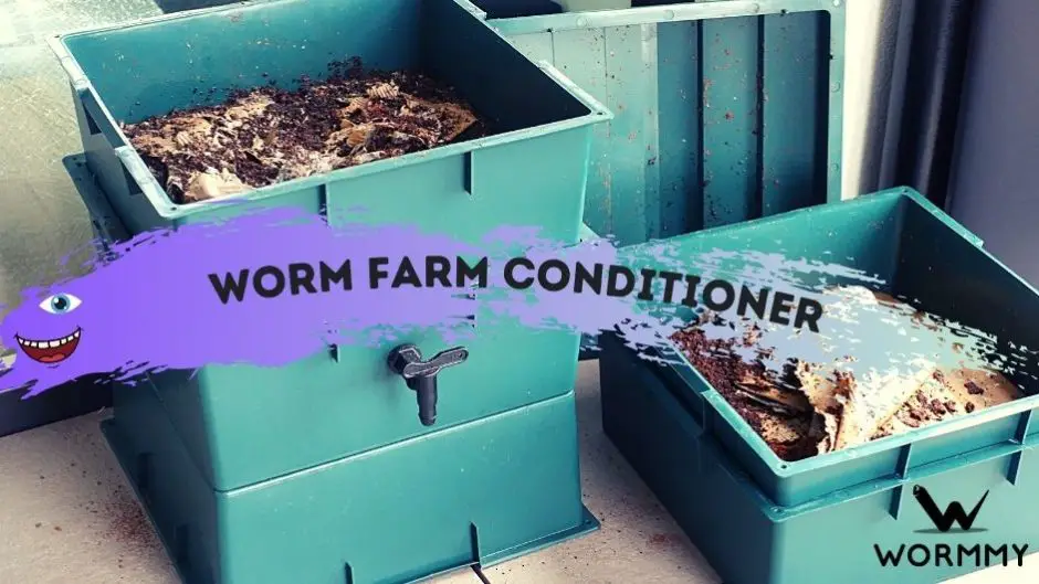 Worm Farm Conditioner Ingredients, What it is & How to Use[Homemade]