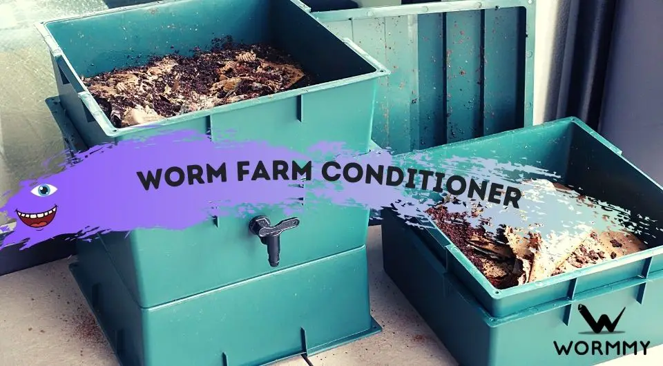 Worm Farm Conditioner Ingredients, What it is & How to Use[Homemade]