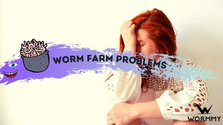 How to Get Rid of Maggots In Worm Farm?