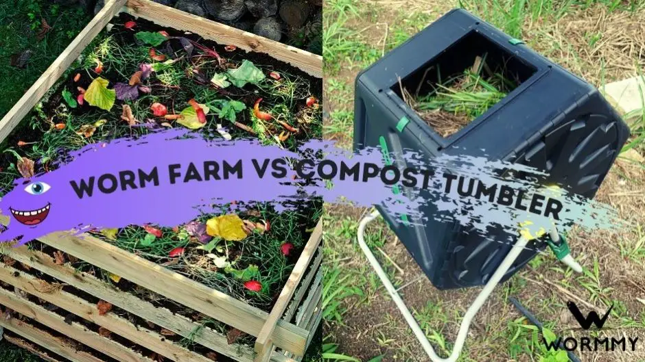 Worm farm vs compost tumbler