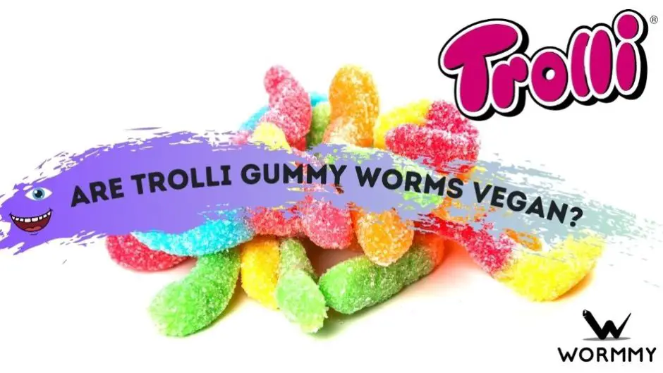 Are Trolli Gummy Worms Vegan blog banner