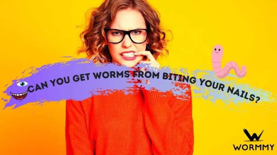 can-you-get-worms-from-biting-your-nails