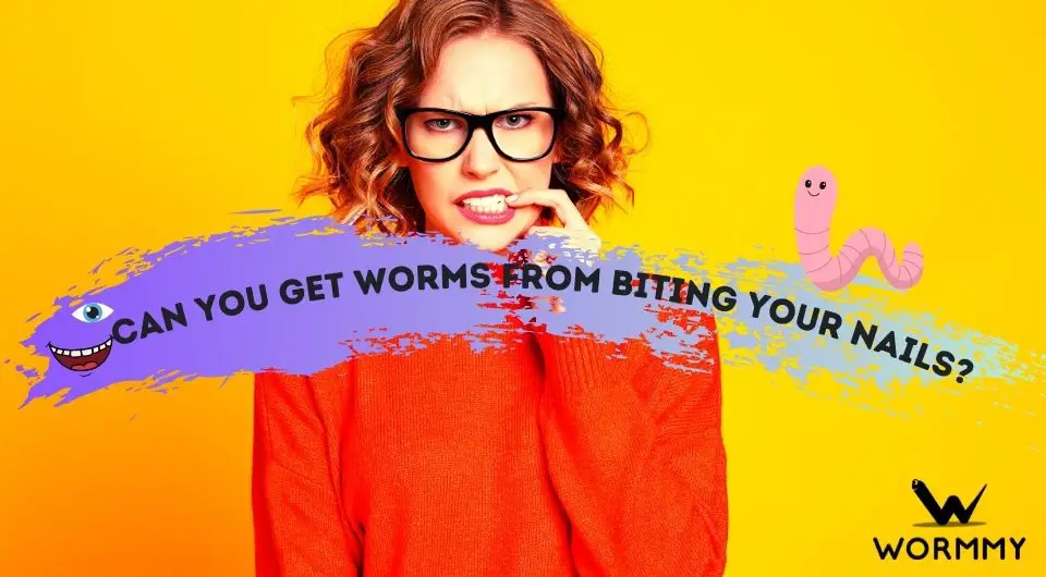 can-you-get-worms-from-biting-your-nails