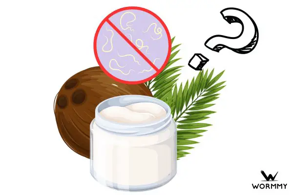 coconut oil for heartworms illustration