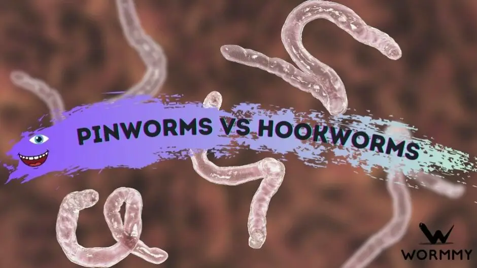 pinworms vs hookworms featured image