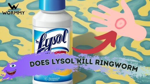 DOES LYSOL KILL RINGWORM featured image