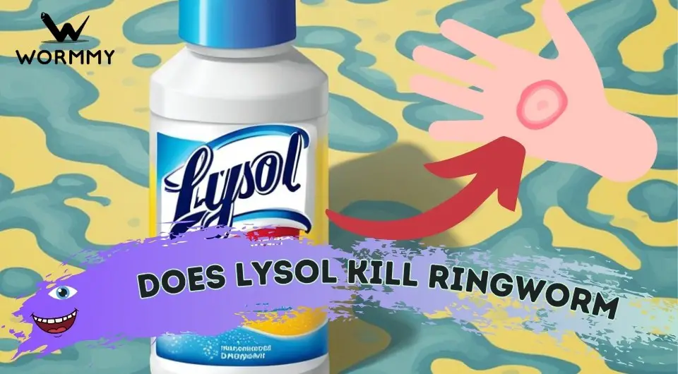 Does Lysol Kill Ringworm? (is the Spray Really Effective?)