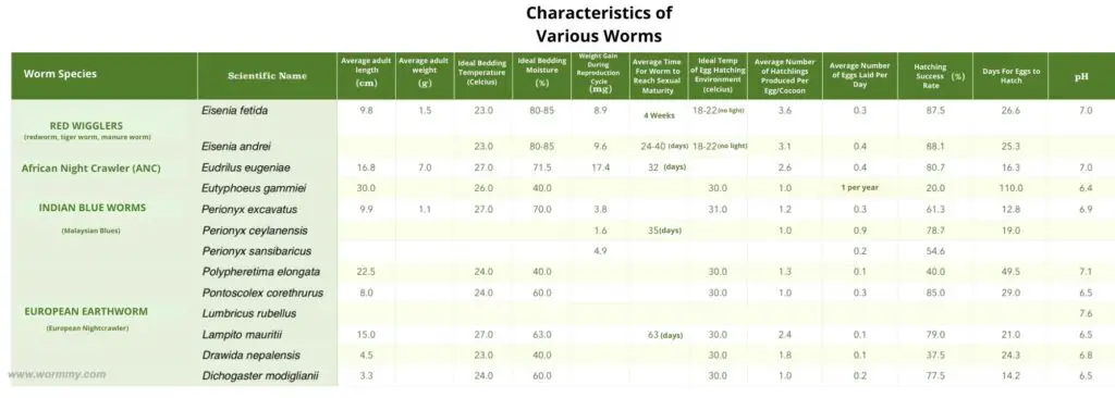 characteristics of various worm species, reproduction rates, eggs, fertility
