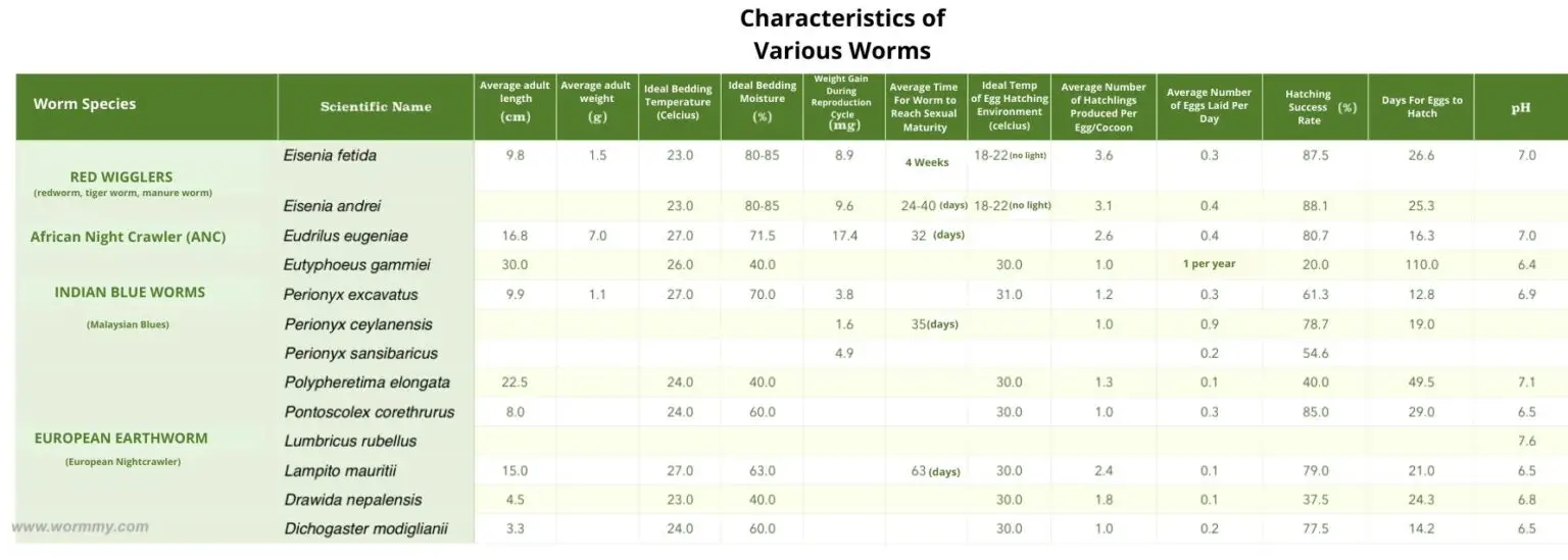 How Do Worms Reproduce? [Frequency, Eggs & Baby Earthworms]